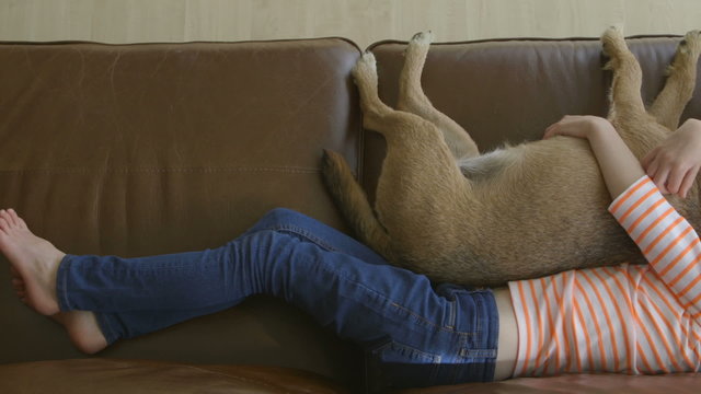 Little girl having a nap on a sofa with her pet dog.