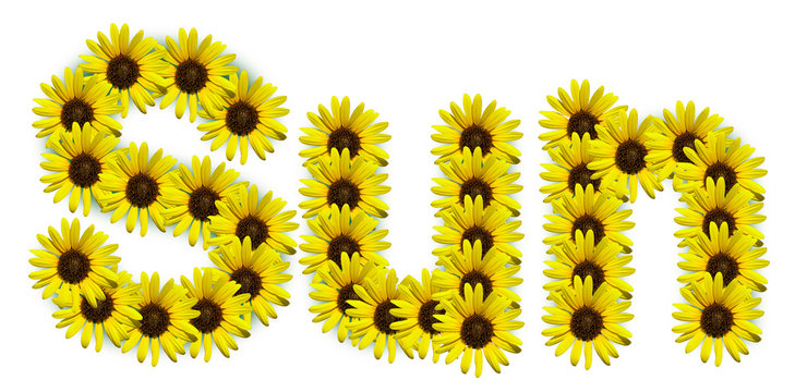 illustration of the word "SUN" using sunflowers on white background
