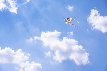 Kite flies high in blue sky