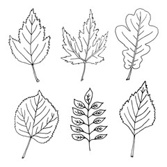 Hand-drawn leaves doodles set