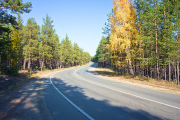 Fototapeta premium autumn road