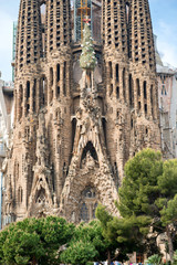 Obraz premium Sagrada Familia Church and Green Tree Tops