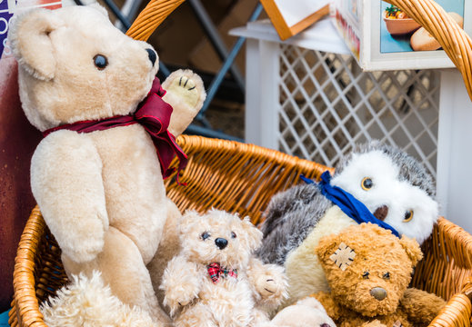 Teddyb&auml;r