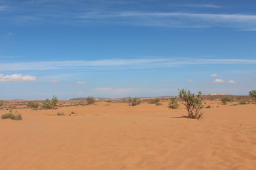 Desert in Morocco.
