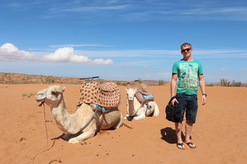 Two white camels and a european man.
