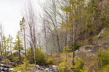 On the cliff near the lake. Cliff in the woods in Karelia. 
