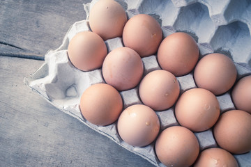 eggs in carton