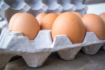 eggs in carton