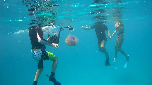 Underwater photographer shooting Underwater photographer shoots a man and a woman on the background of a Cauliflower jellyfish (Cephea cephea) 
