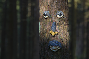 Tree trunk decorated with face