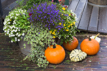 Fall yard decoration with pumpkins and flowers