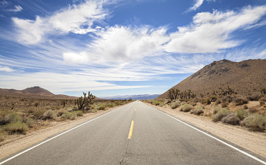 Endless country highway, Death Valley, California, USA.