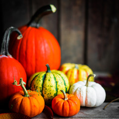 Colorful pumpkins on rustic wooden background