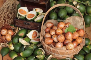 Betel palm