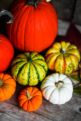 Colorful pumpkins on rustic wooden background