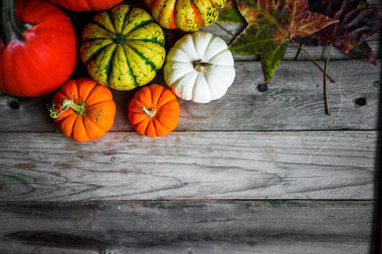 Colorful pumpkins on rustic wooden background