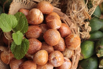 Betel palm