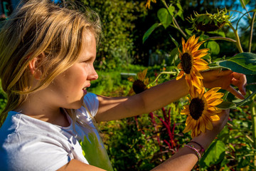 Very young blonde girl in front of sunflowers