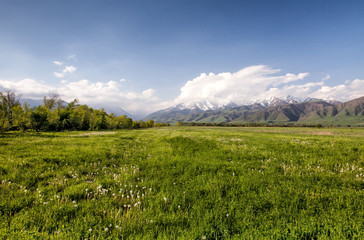 Fototapeta na wymiar Asia landscape. Kyrgyzstan, Baitik
