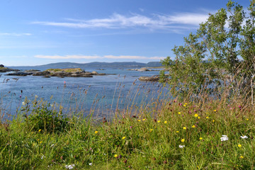 Saltstraumen - Norway 