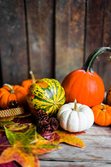 Colorful pumpkins and fall leaves on rustic wooden background