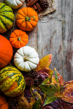 Colorful pumpkins and fall leaves on rustic wooden background