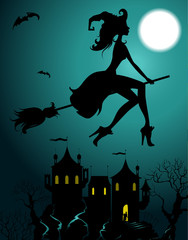 Flying beautiful witch