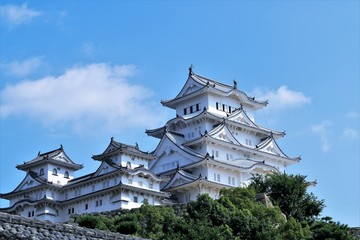 Fototapeta premium 姫路城