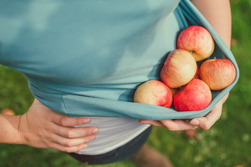 Girl holding apples in the garden