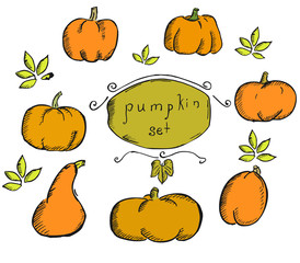 Hand drawn scetch pumpkin set