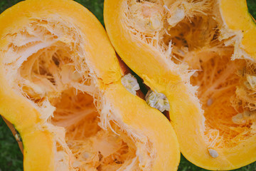 Closeup with a sliced big pumpkin on green background
