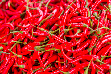 Red chili peppers