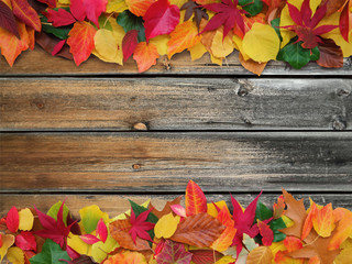 Naklejka na ściany i meble colorful autumn leaves on old weathered wooden background with copy space