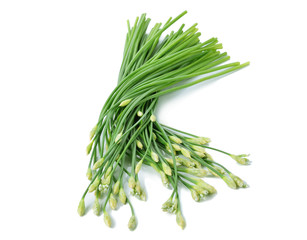 Chinese chives on white background