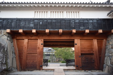 Fototapeta na wymiar Castle Gate