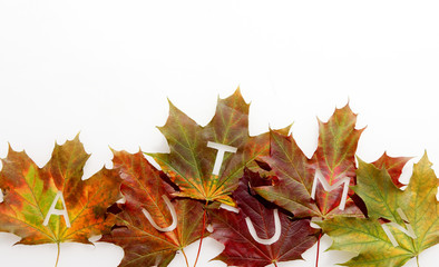 Colorful fall or autumn leaf border