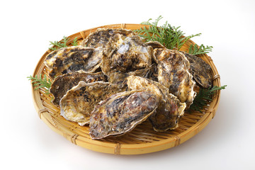 Fototapeta na wymiar 牡蠣　Oyster