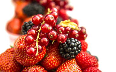 Mixed berries composition on white