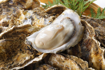 牡蠣　Oyster
