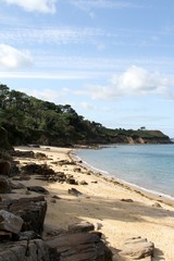 Fototapeta na wymiar plage et rochers en baie de morlaix,bretagne