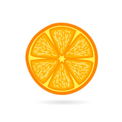 orange fruit slice vector