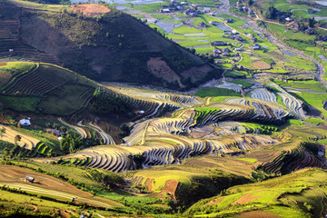 Rice fields on terraced of Mu Cang Chai, YenBai, Vietnam.