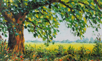 Obraz premium big summer tree, grass, vegetation, field, green leaves