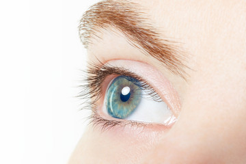 Human, blue healthy eye macro with white background