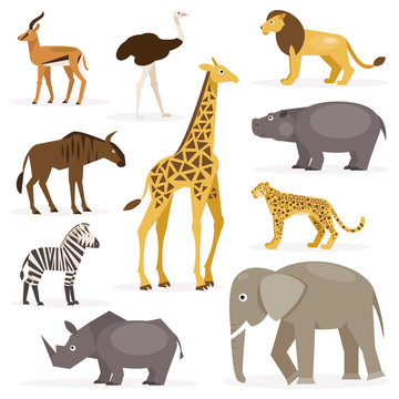 Set savanna animals. Vector Illustration