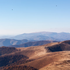 Red autumn in a Carpathian mountains. Borzhava ridge. National park of Ukraine