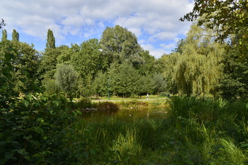 La v&eacute;g&eacute;tation sauvage du parc Roi Baudoin de Jette &agrave; Bruxelles