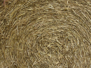 Big roll of hay background