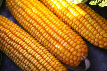 Fresh Sweetcorn Ripe For Cooking