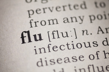flu and influenza